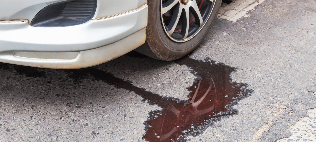 Vehicle fluid leak